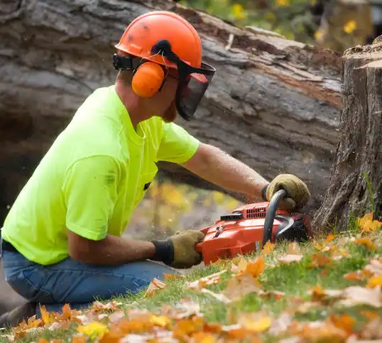 tree services DeQuincy